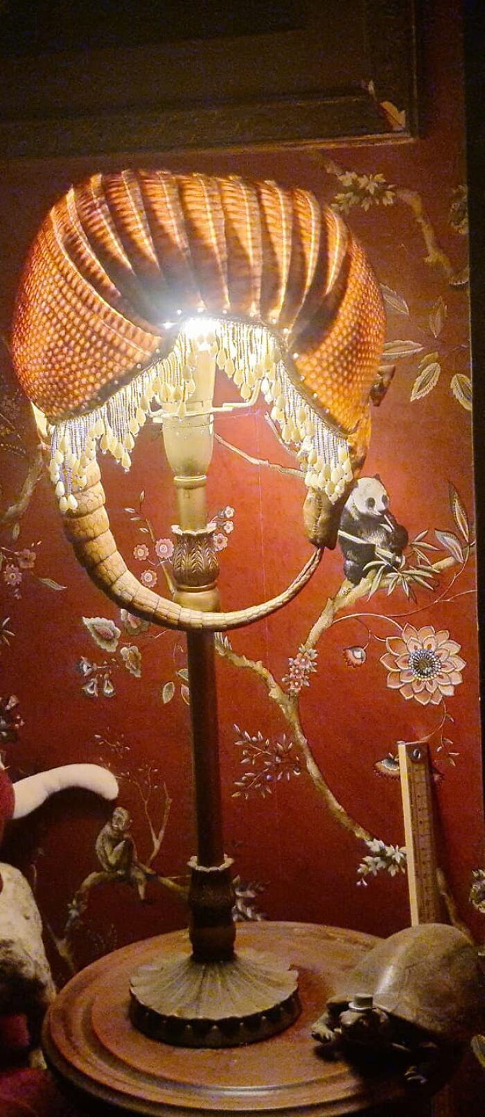 Say Hello To Tony, As In Show Me The Way To Armadillo, He's Here To Join The Other Armadillo Lamps