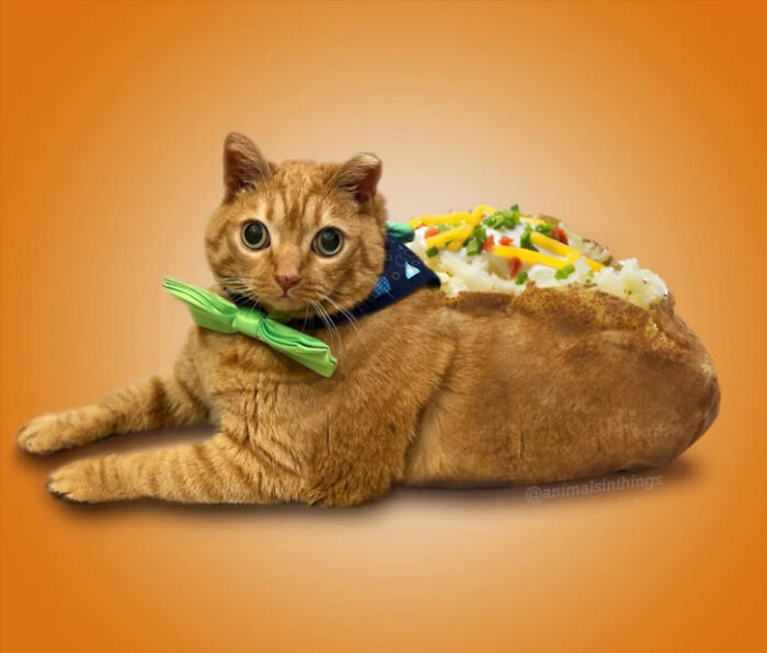 A Photoshop Artist Uses His Imagination To Insert Animals Where You Wouldn't Expect Them To Be ( 18 Pics)