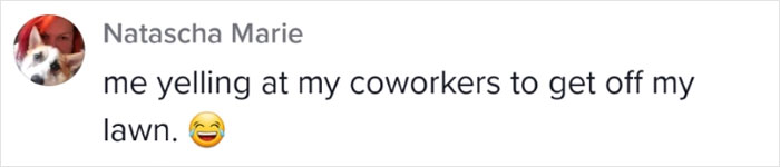 Boss Decided To Change Up The Office By Building Every Single Person A Tiny House