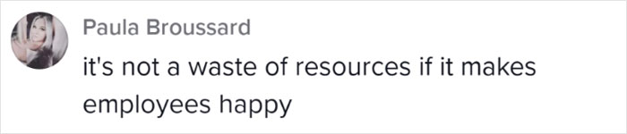 Boss Decided To Change Up The Office By Building Every Single Person A Tiny House