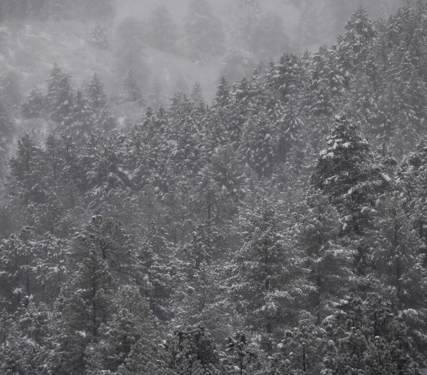 I Photographed A Stormy Retreat Capturing My Snowy Tiny Home Adventure (19 Pics)