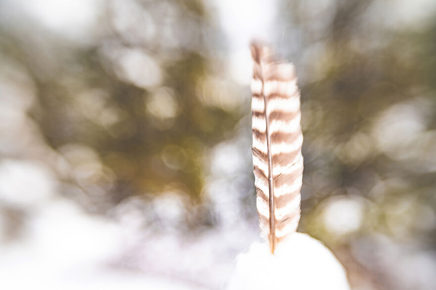 I Photographed A Stormy Retreat Capturing My Snowy Tiny Home Adventure (19 Pics)