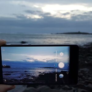 sarahbuschermoehle avatar