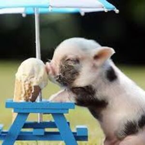 rebecca-kelly717 avatar