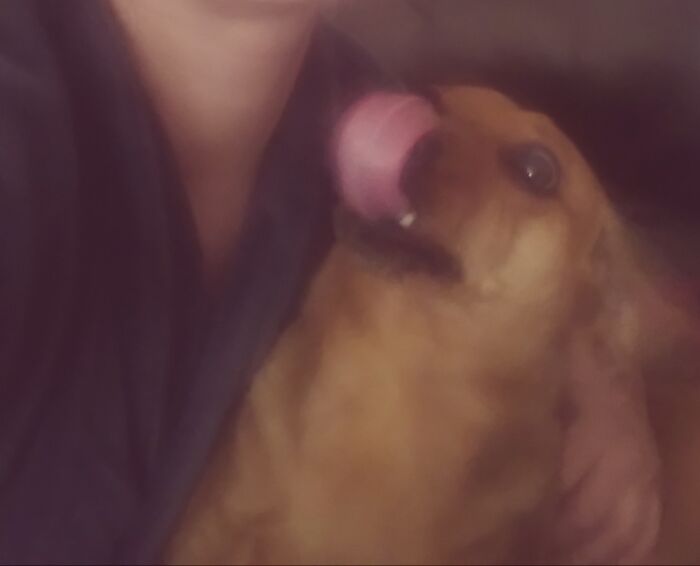 It's The One Tooth For Me!