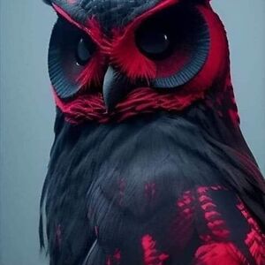 chantellerdierickx avatar