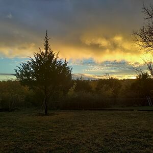 shellypettyiohn avatar