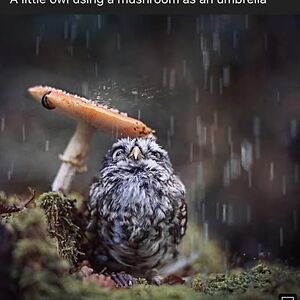 catherinathijs avatar