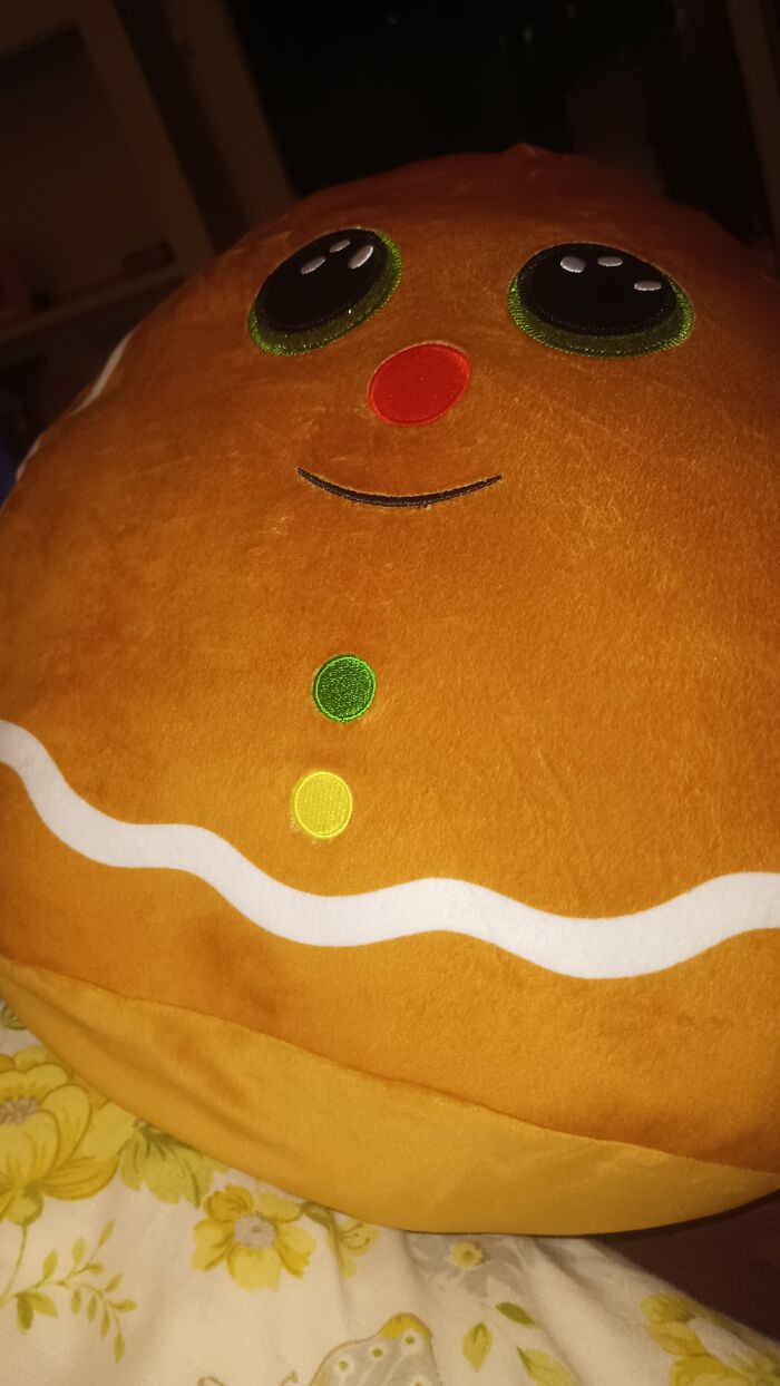 My Friend Gave Me This For Christmas 2022. I Sleep With It