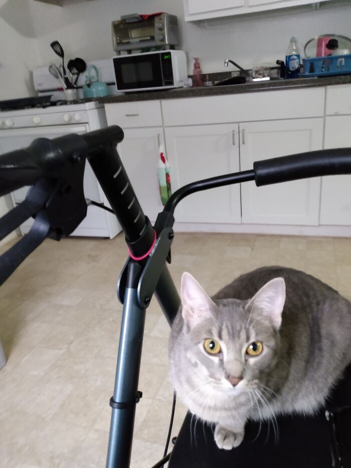 Bouche On My Walker, Waiting For A Ride