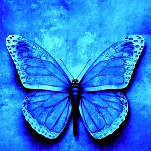 tinaclifford17 avatar