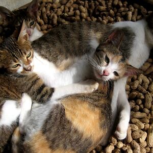 heidi_dolipas_1 avatar