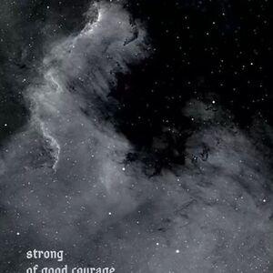 andreabossa2117 avatar