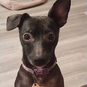 kylienicholle07 avatar