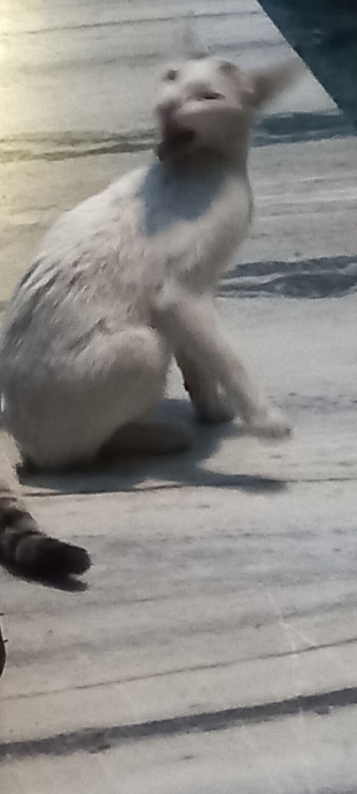 Beware! Exorcism Is Being Performed!!