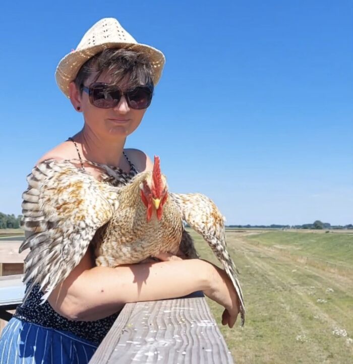 My Sweet Rooster Kip. Allways By My Side, Following