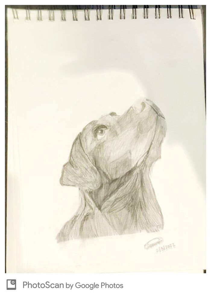 I Was Bored So I Drew My Dog