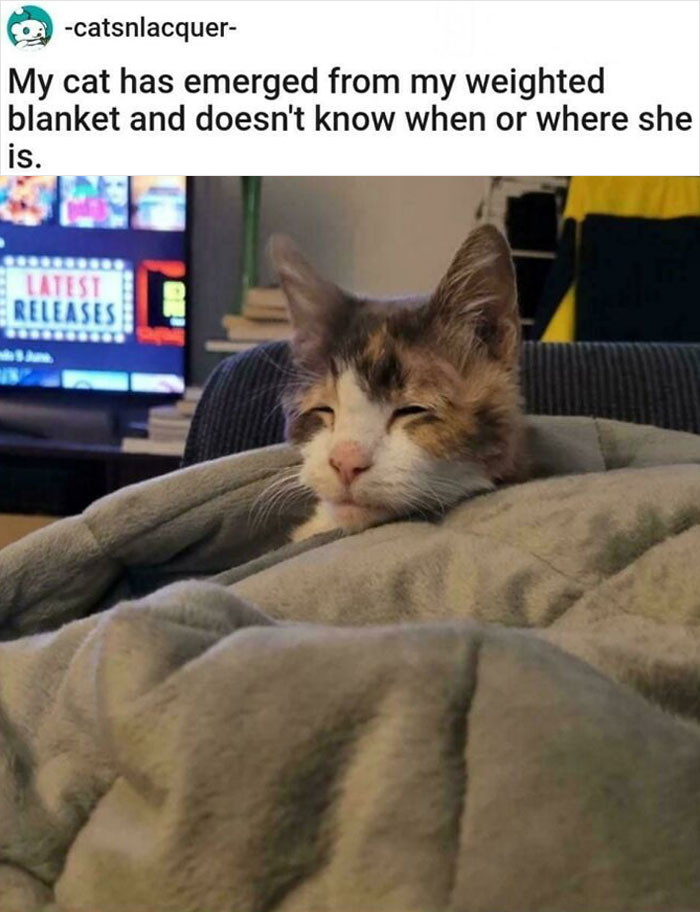 Huh? Wazzit? Wha .. What's Happening??