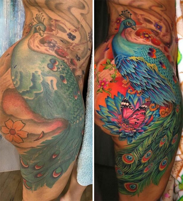 Peacock tattoo transformation showing vibrant colors and detailed design.
