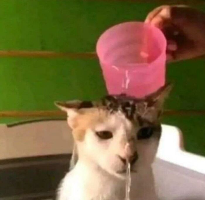 Funny-Weird-No-Context-Pics