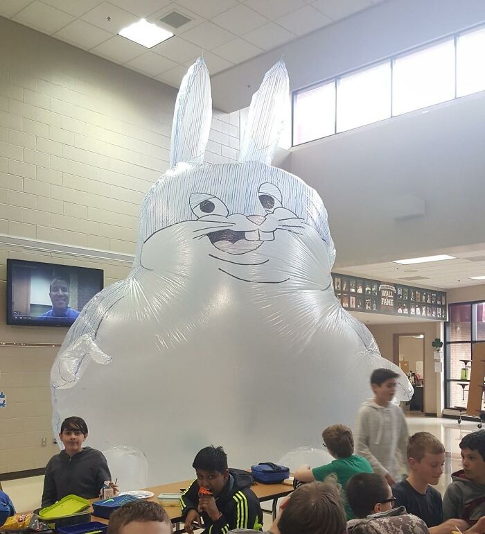 Funny-Weird-No-Context-Pics