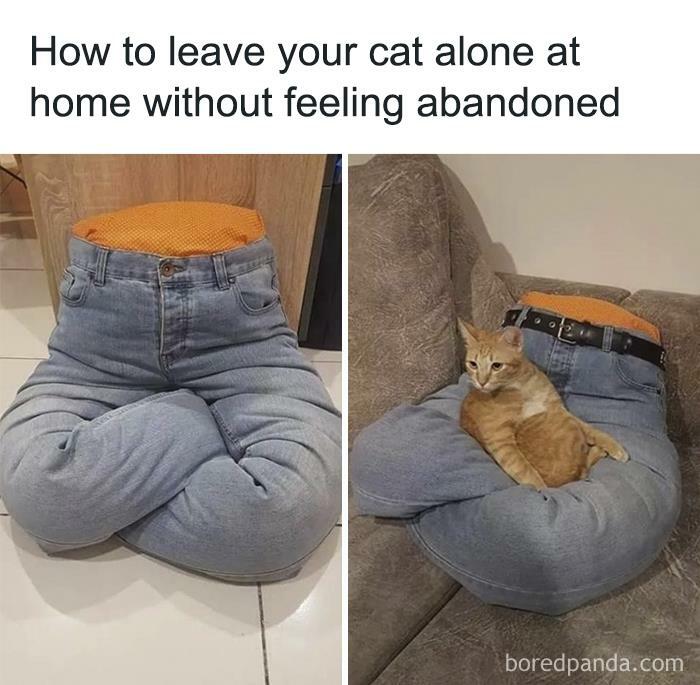 Funny-Cat-Jokes-Memes-Meow-Incorporated