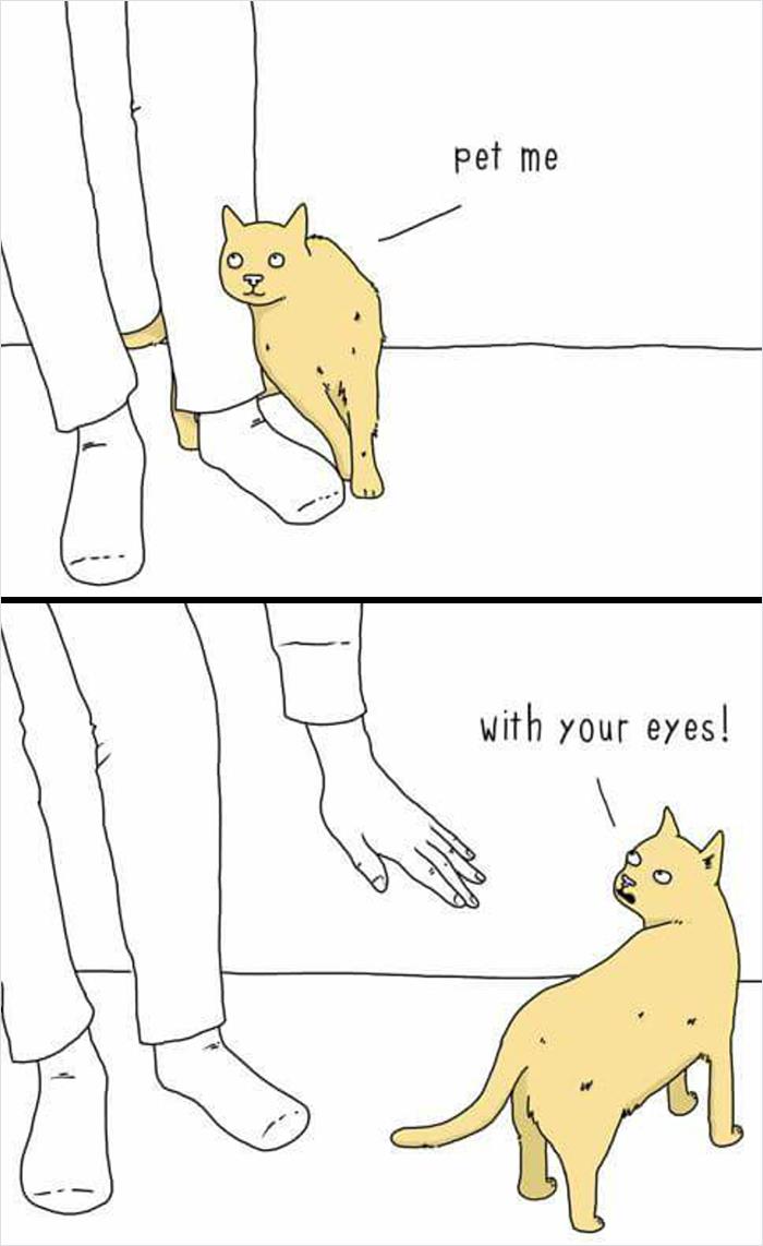 Funny-Cat-Jokes-Memes-Meow-Incorporated