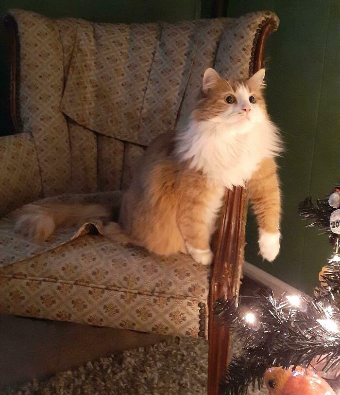 The Little Arm Just Kills Me