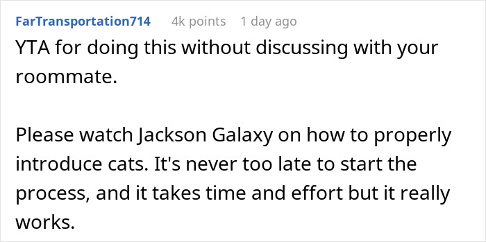 Woman Thinks It's Unfair She Has To Tiptoe Around Roommate's Cat's "Asocial" Needs, Starts A Feud After Adopting Her Own Kitten