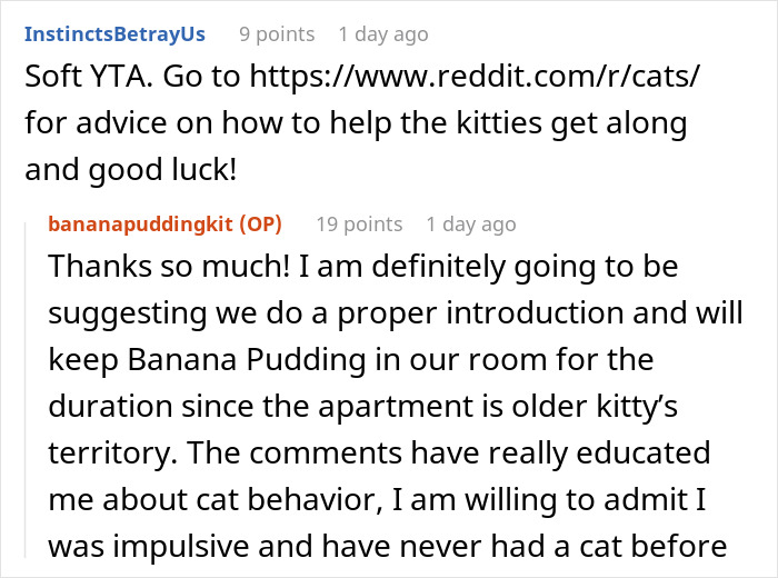 Woman Thinks It's Unfair She Has To Tiptoe Around Roommate's Cat's "Asocial" Needs, Starts A Feud After Adopting Her Own Kitten