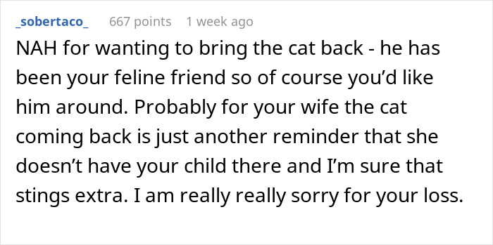 "Her Or The Cat": Man Asks For Advice After Wife Who Went Through Stillbirth Refuses To Allow His Beloved Pet Back In The House