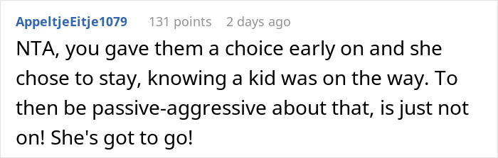 &ldquo;Am I A Jerk For Kicking Out A Very Vocal Childfree Flatmate After My Wife Got Pregnant?&rdquo;
