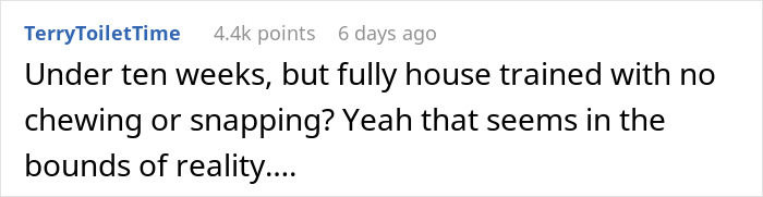 Woman Who Has Tried 5 Puppies Says Every Single One &lsquo;Failed&rsquo;, And People Can See Why After She Posts Her Delusional Requirements