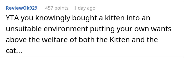 Woman Thinks It's Unfair She Has To Tiptoe Around Roommate's Cat's "Asocial" Needs, Starts A Feud After Adopting Her Own Kitten
