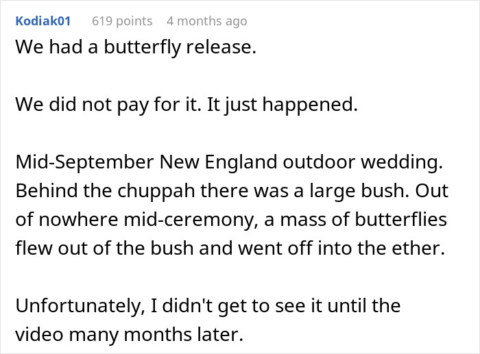 People Online Are Applauding This Wedding Photographer’s Views On Live Animal Use During Celebrations People Online Are Applauding This Wedding Photographer’s Views On Live Animal Use During Celebrations