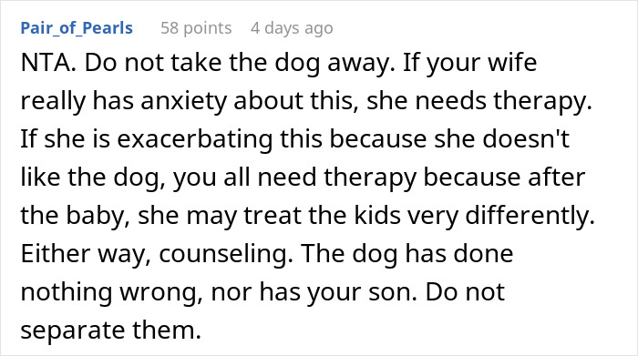 Wife Says Husband Is Prioritizing The Dog Over Her Pregnancy After He Refuses To Get Rid Of It And Break His Son's Heart