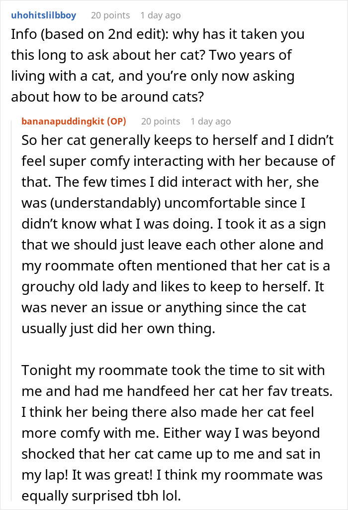 Woman Thinks It's Unfair She Has To Tiptoe Around Roommate's Cat's "Asocial" Needs, Starts A Feud After Adopting Her Own Kitten