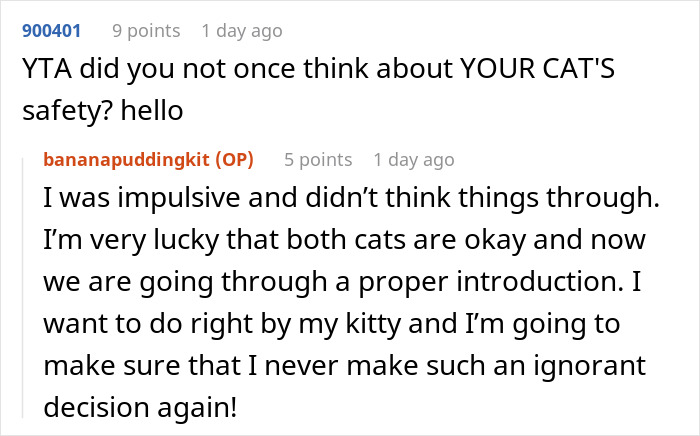 Woman Thinks It's Unfair She Has To Tiptoe Around Roommate's Cat's "Asocial" Needs, Starts A Feud After Adopting Her Own Kitten