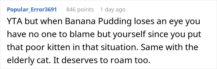 Woman Thinks It's Unfair She Has To Tiptoe Around Roommate's Cat's "Asocial" Needs, Starts A Feud After Adopting Her Own Kitten