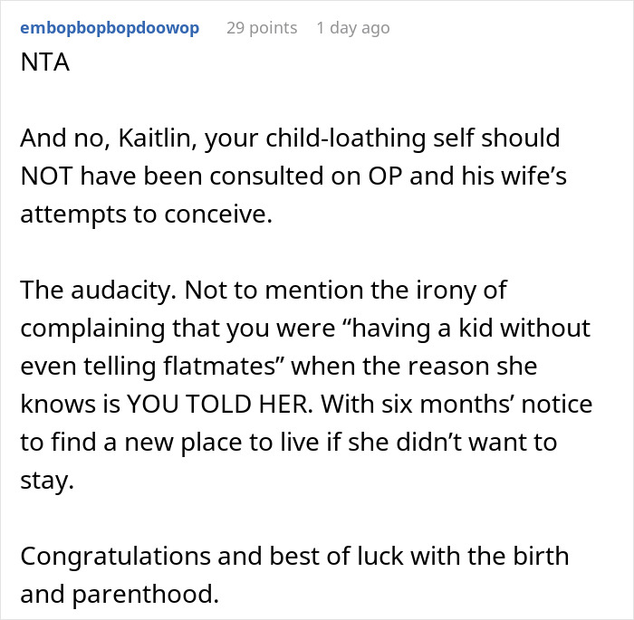 &ldquo;Am I A Jerk For Kicking Out A Very Vocal Childfree Flatmate After My Wife Got Pregnant?&rdquo;
