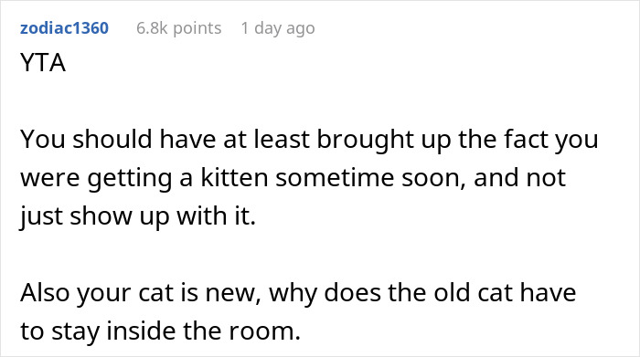 Woman Thinks It's Unfair She Has To Tiptoe Around Roommate's Cat's "Asocial" Needs, Starts A Feud After Adopting Her Own Kitten