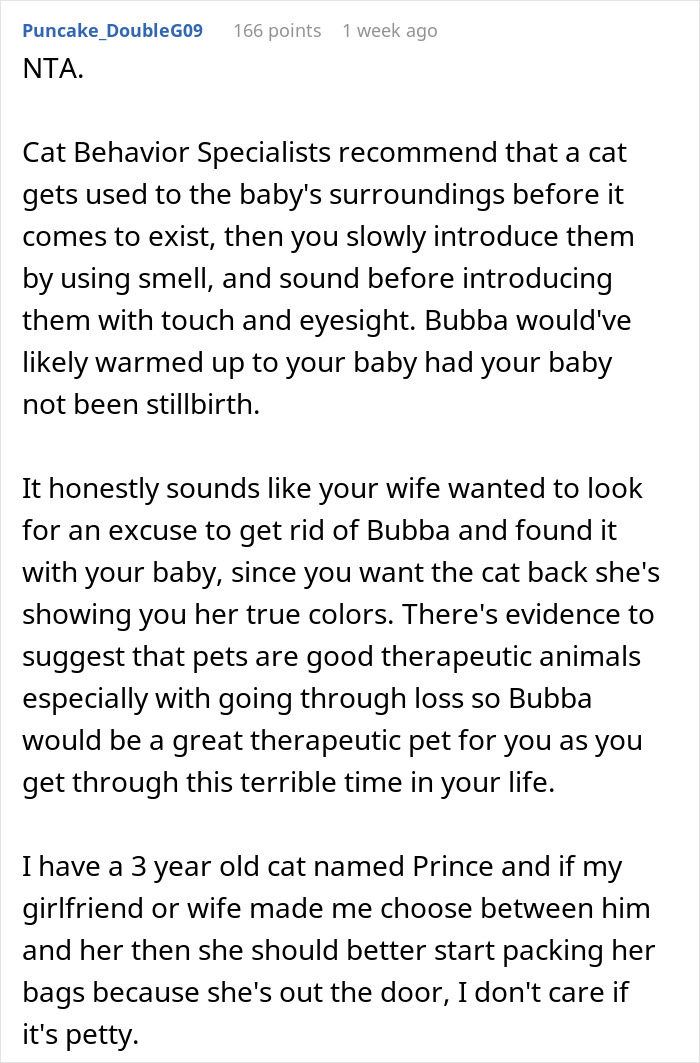 "Her Or The Cat": Man Asks For Advice After Wife Who Went Through Stillbirth Refuses To Allow His Beloved Pet Back In The House