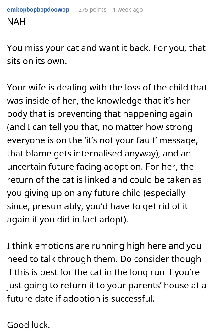 "Her Or The Cat": Man Asks For Advice After Wife Who Went Through Stillbirth Refuses To Allow His Beloved Pet Back In The House