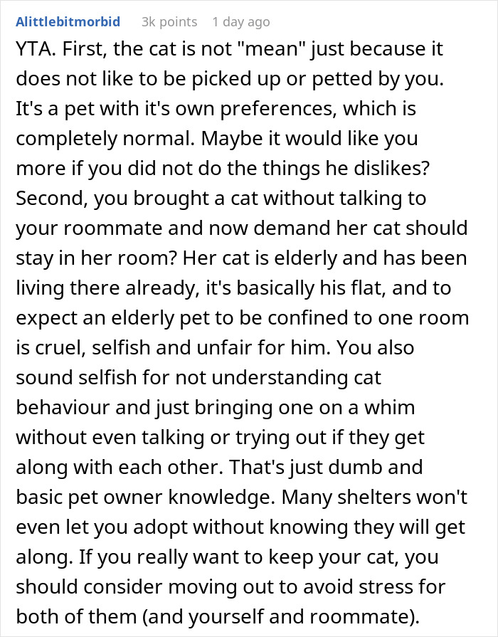 Woman Thinks It's Unfair She Has To Tiptoe Around Roommate's Cat's "Asocial" Needs, Starts A Feud After Adopting Her Own Kitten