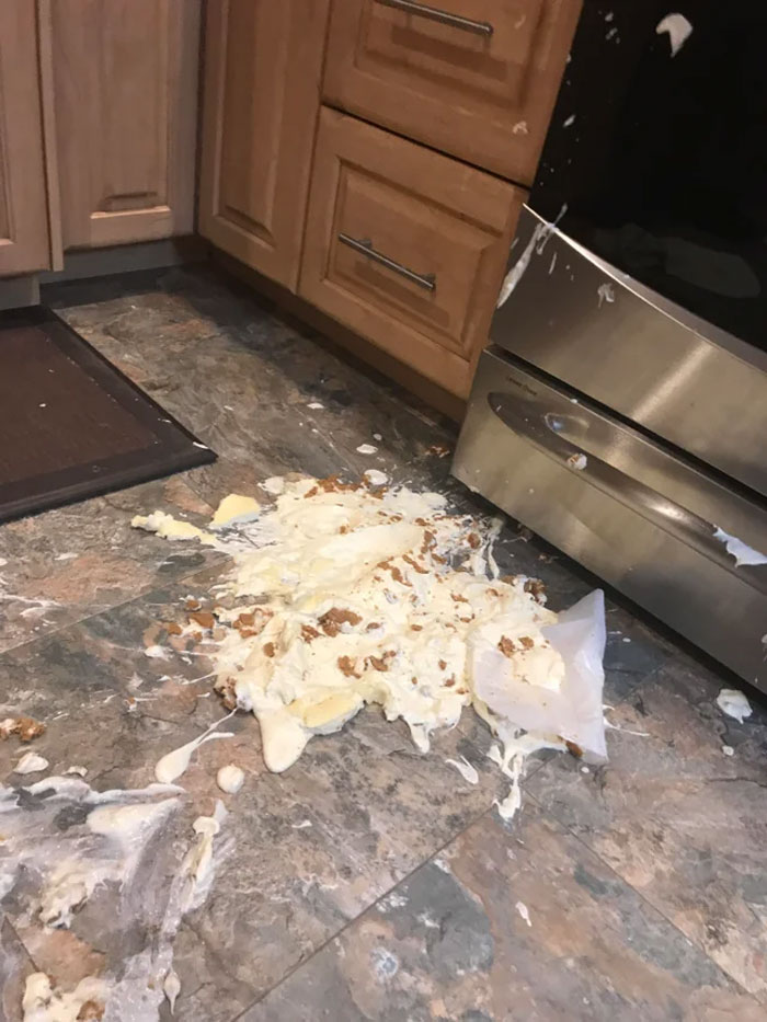 I Dropped The Cheesecake While Unmolding It