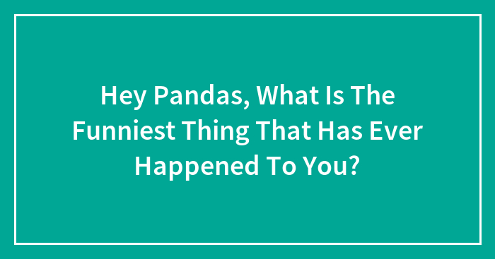 Hey Pandas, What Is The Funniest Thing That Has Ever Happened To You?