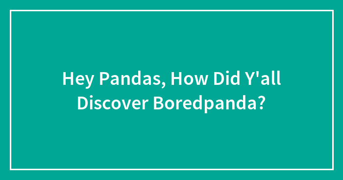 Hey Pandas, How Did Y’all Discover Boredpanda?