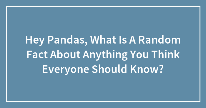 Hey Pandas, What Is A Random Fact About Anything You Think Everyone Should Know?