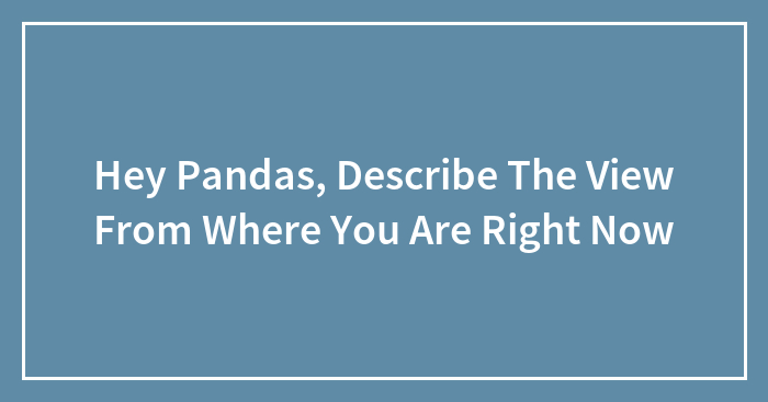 Hey Pandas, Describe The View From Where You Are Right Now (Closed)