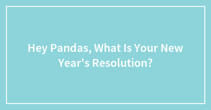 Hey Pandas, What Is Your New Year’s Resolution? (Closed)